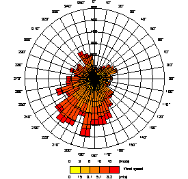 Example wind rose image