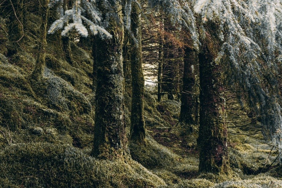 habitats image